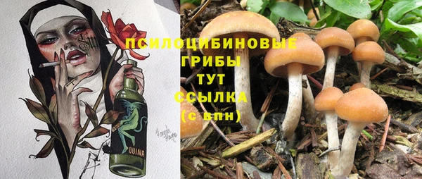 дмт Бутурлиновка