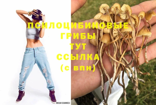 бошки Белоозёрский
