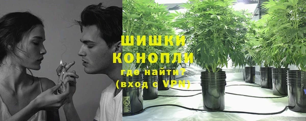 каннабис Белокуриха