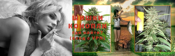 эйфоретик Беломорск