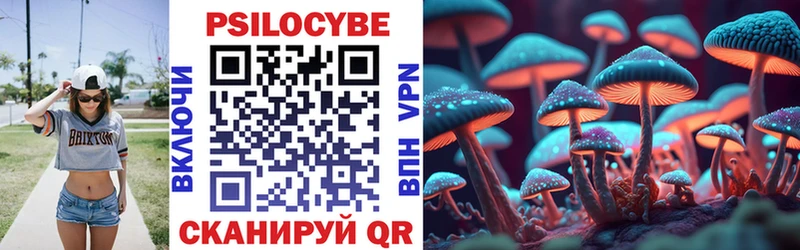 Галлюциногенные грибы Psilocybe Лыткарино